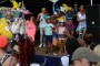 Thumbs/tn_Zomercarnaval Noordwijkerhout 2016 396.jpg